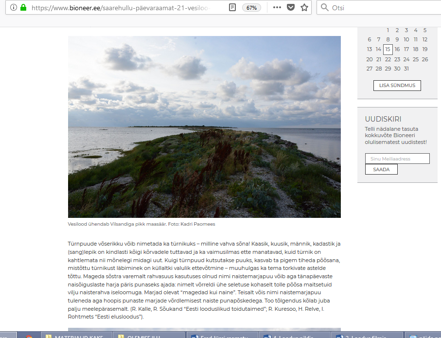 näide postitusest1